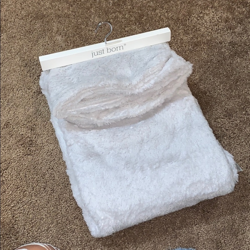 Just Born Silver with Gray Blanket